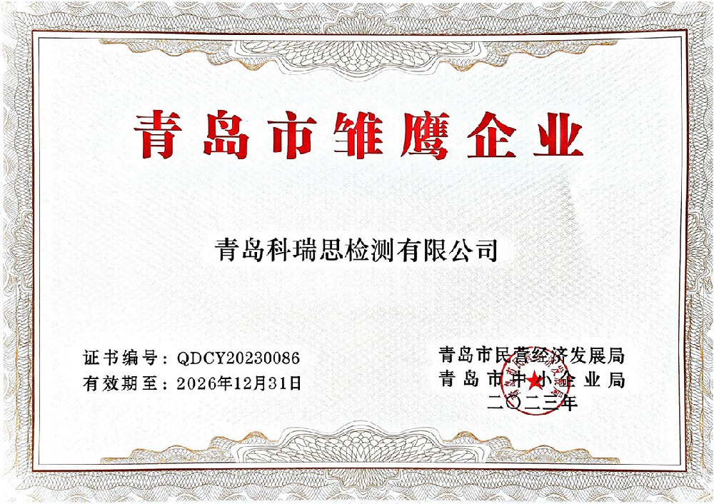 雏鹰企业